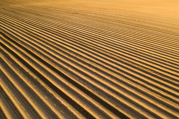 High-quality cultivated soil for planting agricultural crops.