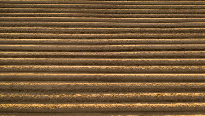 High-quality cultivated soil for planting agricultural crops.