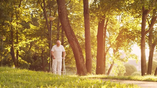 Disabled old man is walking with a walker. Handicapped patient in the park. Assistance, rehabilitation and health care. Golden hour sunset.
