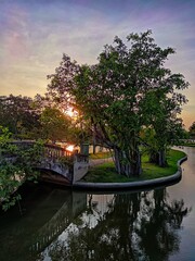Fototapeta premium Park