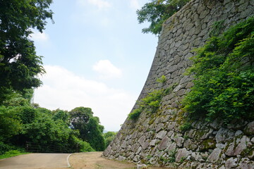 Fototapeta na wymiar Stone Fortress of Matsuyama Castle in Matsuyama, Ehime, Japan - 愛媛県 松山城 古町口 登城道 城壁 