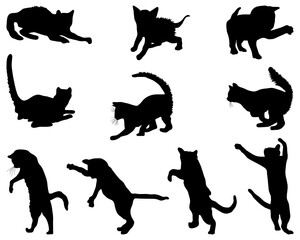 SVG Black silhouettes of cats on a white background
