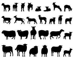 SVG Black silhouettes sheep and lambs on a white background	