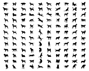 SVG Black silhouettes of different breeds of dogs on a white background