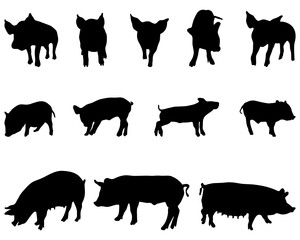 SVG Black silhouettes pigs on a white background
