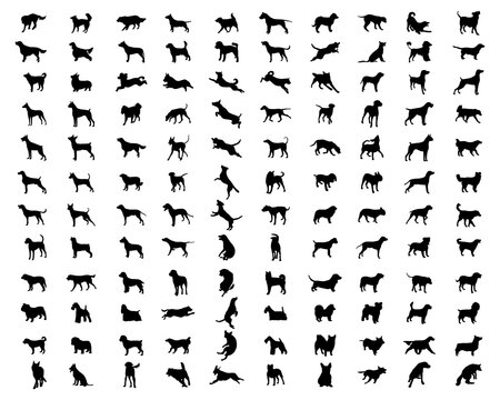 SVG Black silhouettes of different breeds of dogs on a white background