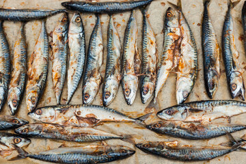 A lot of mackerel lies on parchment paper and is grilled.