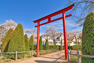 Fototapete bei efototapeten.de bestellen   