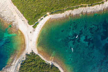 Rocky coast with pines on Dugi Otok, Croatia