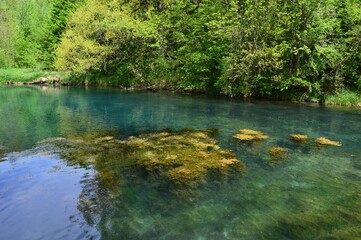 landscape of a clean green river