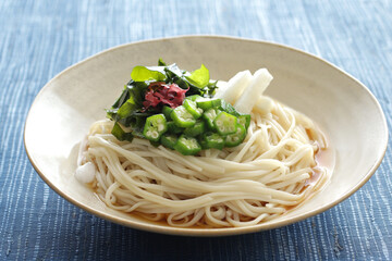 夏の冷やしぶっかけうどん