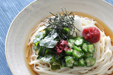 夏の冷やしぶっかけうどん