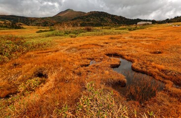 Fall scenery of a grassy wetland on Midagahara Highland in Tateyama Kurobe Alpine Route in Toyama, Japan, with view of beautiful ponds on the marshland under moody sky on a gloomy, cloudy autumn day 