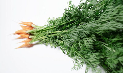 Studio picture of a small carrots bouquet, with green tops on white.
