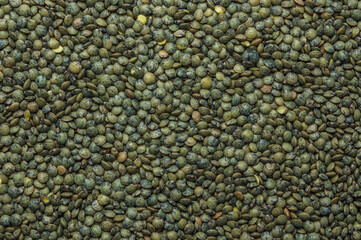 French green lentils (le puy green lentils PDO, AOC) (Lens esculenta puyensis ) top view macro detail backdrop close-up uncooked raw