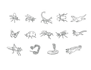 Insects line art clipart set , reptiles & amphibians - House fly, honey bee, scorpion, cockroach, lady bird, ant, butterfly, wasp, glass hopper,