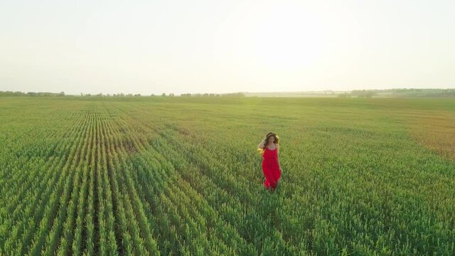 Aerial video of a girl in a red dress in a wheat field at sunset