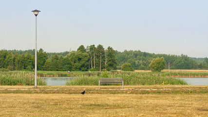 Krajobraz nad jeziorem  © Mariusz Stoszewski