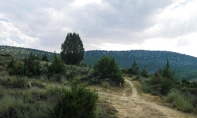 Campos de cultivo y montaña de España.