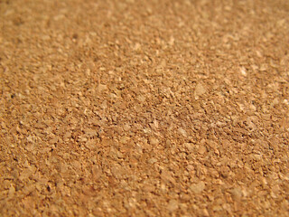 Cork