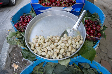 top view mulberry fruit in tray