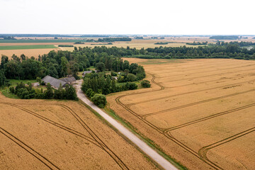rural landscape with cereal fields, roads and country houses, aerial top view