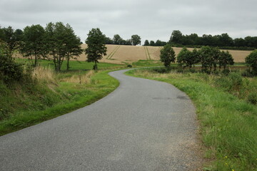 A winding road in the countryside