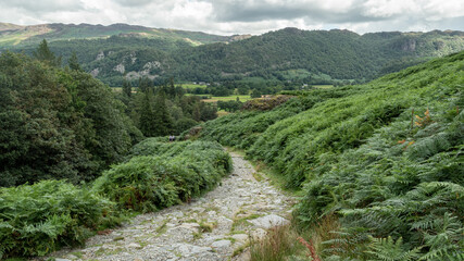 Fototapeta na wymiar A landscape view near Derwent Water, the Lake District, UK