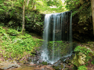 夏の滝