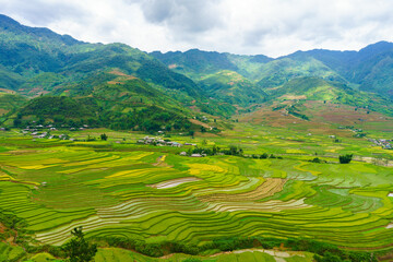 Terraced rice field in water season in Mu Cang Chai, Yen Bai Vietnam