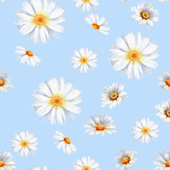 Daisy floral seamless pattern. Handpainted watercolor illustration for fabric, packaging, wallpaper design. Cute summer camomile graphic. Repeat ornament. White flowers on blue background