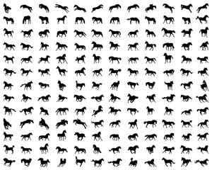 SVG Big set of horses silhouettes on the white background