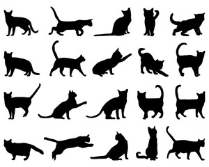 SVG Black silhouettes of cats on a white background