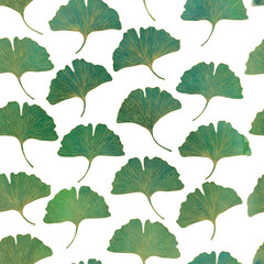 Green small Ginkgo leaves. Watercolor botanical illustration. Seamless leafy exotic pattern