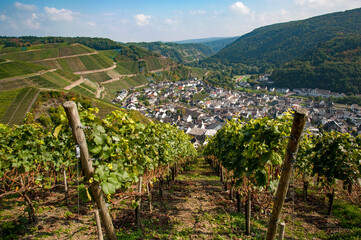 Ahr Valley, Rhineland Palatinate, Germany: Village of Dernau as seen from the vineyards along the 'Rotweinwanderweg', the Red Wine Hiking Trail in Germany's Ahr Valley