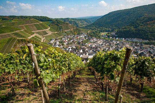 Ahr Valley, Rhineland Palatinate, Germany: Village of Dernau as seen from the vineyards along the 'Rotweinwanderweg', the Red Wine Hiking Trail in Germany's Ahr Valley
