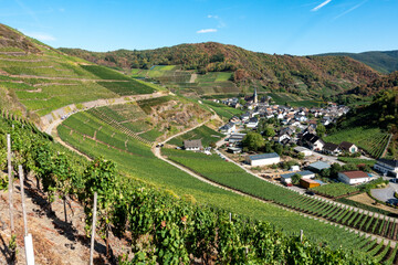 Village of Mayschoß as seen from the 'Rotweinwanderweg', the Red Wine Hiking Trail. Ahrweiler District, Rhineland-Pflaz, Germany