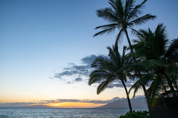 Fototapeta na wymiar Tropical sea beach with sand, ocean, palm leaves, palm trees and blue sky. Summer beach background.