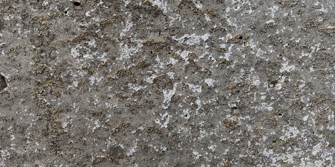 fine moss on an old stone. texture, background