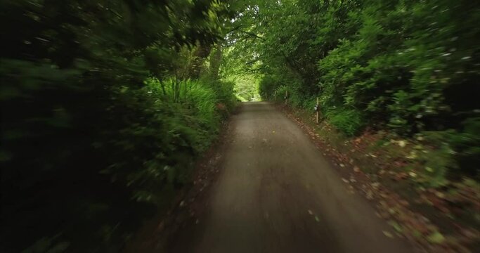 Aerial: Country road in a forest. Baltimore, Ireland