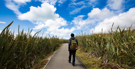 Young man in blue warm clothes slowly walking through     pathway trail with cloudy and blue sky background