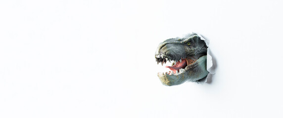 Fototapeta premium T Rex Dinosaur monstrous animal with sharp teeth breaking through the white paper background
