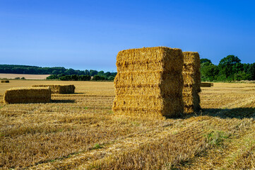 Danish cornfield, yellow straw bales