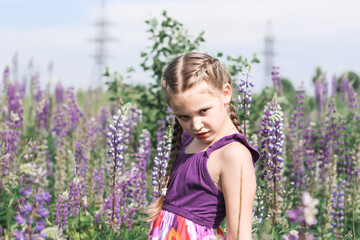 Beautiful little cute girl walking in the field among blooming purple, pink and blue lupin, lupine, lupinus flowers in sunlight. Floral, spring, summer, vacation concept.