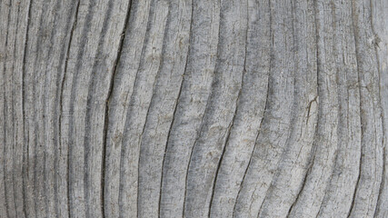 Old dry wood texture background close - up view