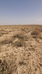 Arid sandy dry empty landscape Uzbekistan 