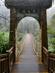 A gate to a hanging bridge in a forest