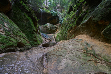 Wodospad Czarownic znajdujący się w wąwozie Cięzkowickim w Rożnowskim Parku Krajobrazowym.

