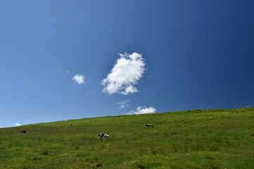 美ヶ原高原　青い空と白い雲