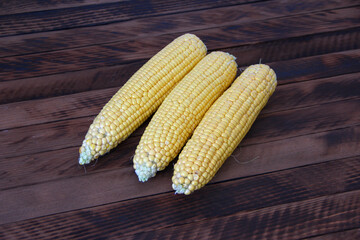Cobs of fresh young corn on dark wooden background